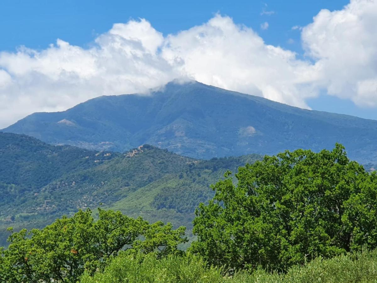 Colle Del Mirto Villa Castelnuovo Cilento Eksteriør billede